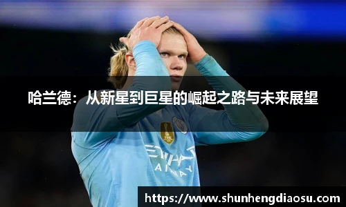 哈兰德：从新星到巨星的崛起之路与未来展望